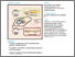 [thumbnail of A Non-Replicative Role of the 30 Terminal Sequence.pdf]