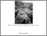 [thumbnail of A31_Rapport annuel_1999-00.pdf]