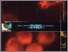 [thumbnail of aucun030-1999-00_vrapport activites Sante.pdf]