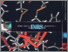 [thumbnail of aucun030-2000-01_vrapport activites Sante.pdf]