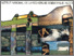 [thumbnail of aucun023-1973-74_vrapport annuel INRS.pdf]