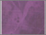[thumbnail of aucun023-1991_vrapport annuel INRS.pdf]