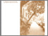 [thumbnail of aucun026-1996-97_vrapport annuel INRS-Urbanisation.pdf]