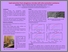 [thumbnail of S3432.pdf]