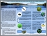[thumbnail of C2875.pdf]