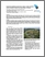 [thumbnail of doc-2410(1).pdf]