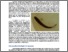 [thumbnail of 2009-07.pdf]