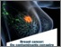 [thumbnail of 2019-01-07_LaSynthese_Numero_7_WEB_EN.pdf]