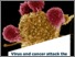 [thumbnail of 2019-01-07_LaSynthese_Numero_8_WEB_EN.pdf]